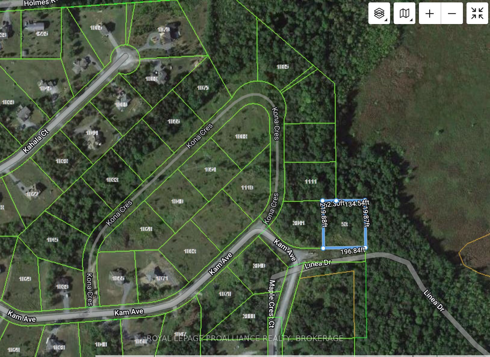 Rural subdivision lot with open landscape, mature trees, and space for a custom home in a quiet countryside setting.